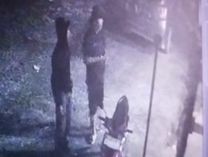 Aksi Maling Motor di Rusunawa Kota Metro Terekam CCTV, Korban : Tolong Pak
