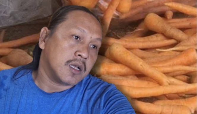 
					Penjualan Komoditas Wortel di Kota Metro Anjlok, Imbas Harga “Meroket”