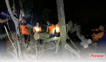 Respons Cepat Laporan Warga, Pemkot Metro Evakuasi Pohon Tumbang di Tejoagung